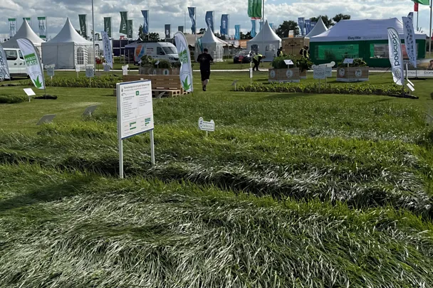 Parzellen GreenStar Grassamen auf der Versuchsfläche der DLG-Feldtage 2026