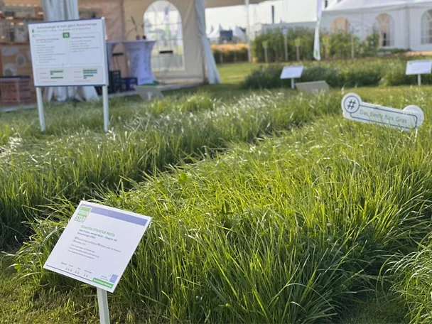 GreenStar STRUKTUR PROTA - Parzelle auf der Versuchsfläche der DLG-Feldtage 2026