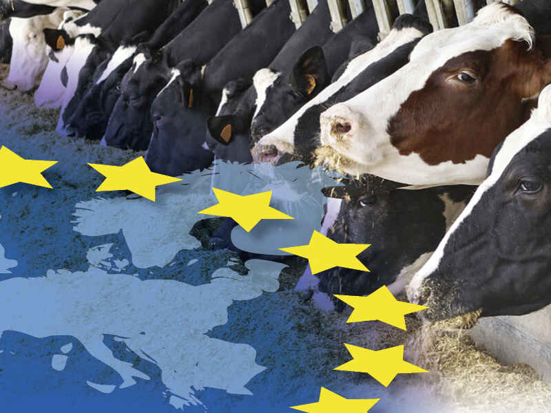 EU-Produkte von SCHAUMANN