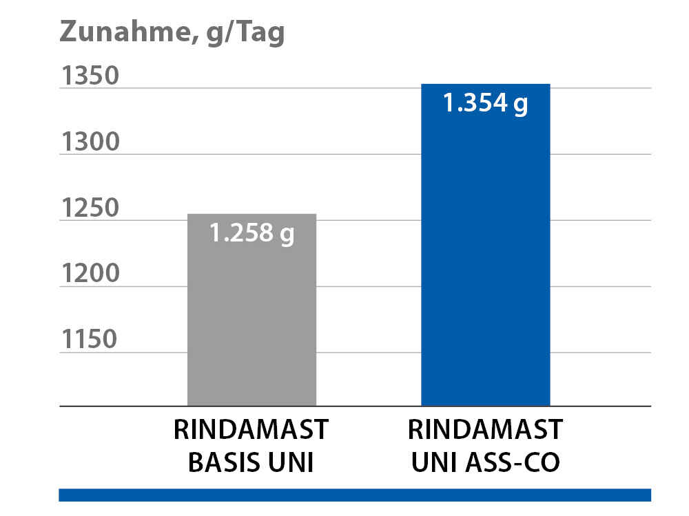 Mittlere Tageszunahmen der Mastbullen