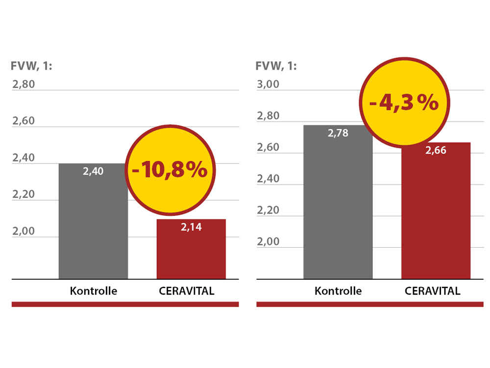 CERAVITAL bei Mastschweinen CERAVITAL bei Mastschweinen