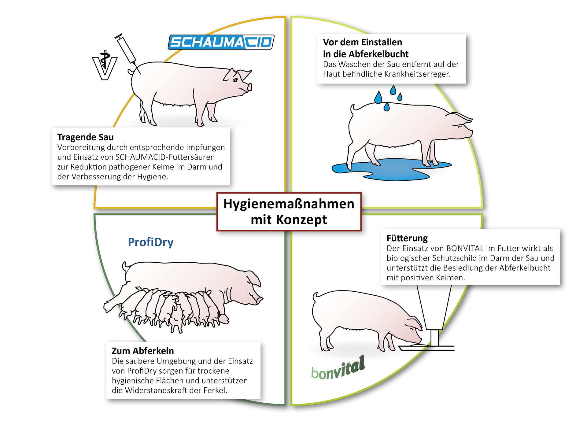 Hygienekonzept