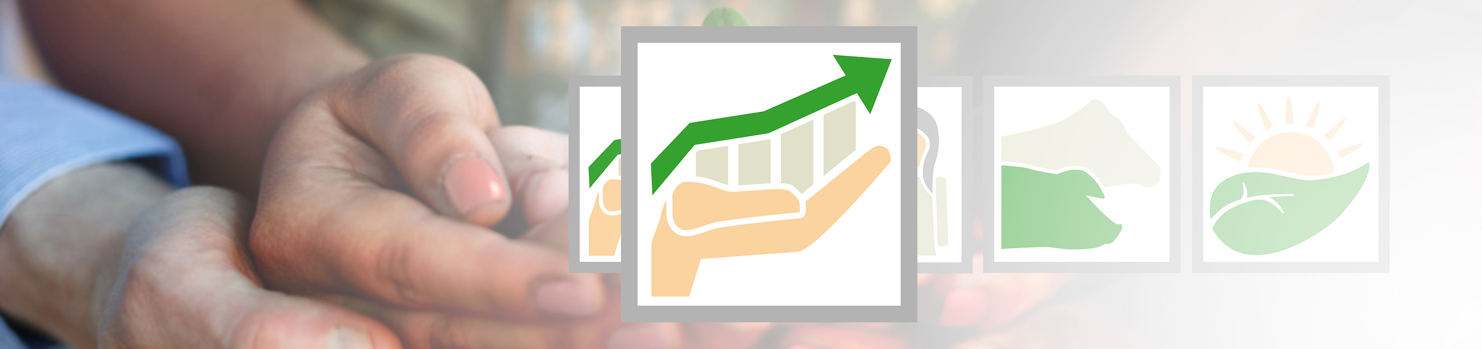 Nachhaltigkeit bei SCHAUMANN Rentabilität