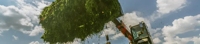 Radlader mit Grassilage