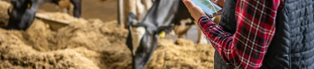 Beratung Cow-how milk Beratung Cow-how milk